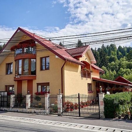 Casa Cu Flori Moisei Hotel Bagian luar foto