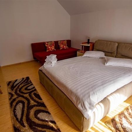 Casa Cu Flori Moisei Hotel Bagian luar foto