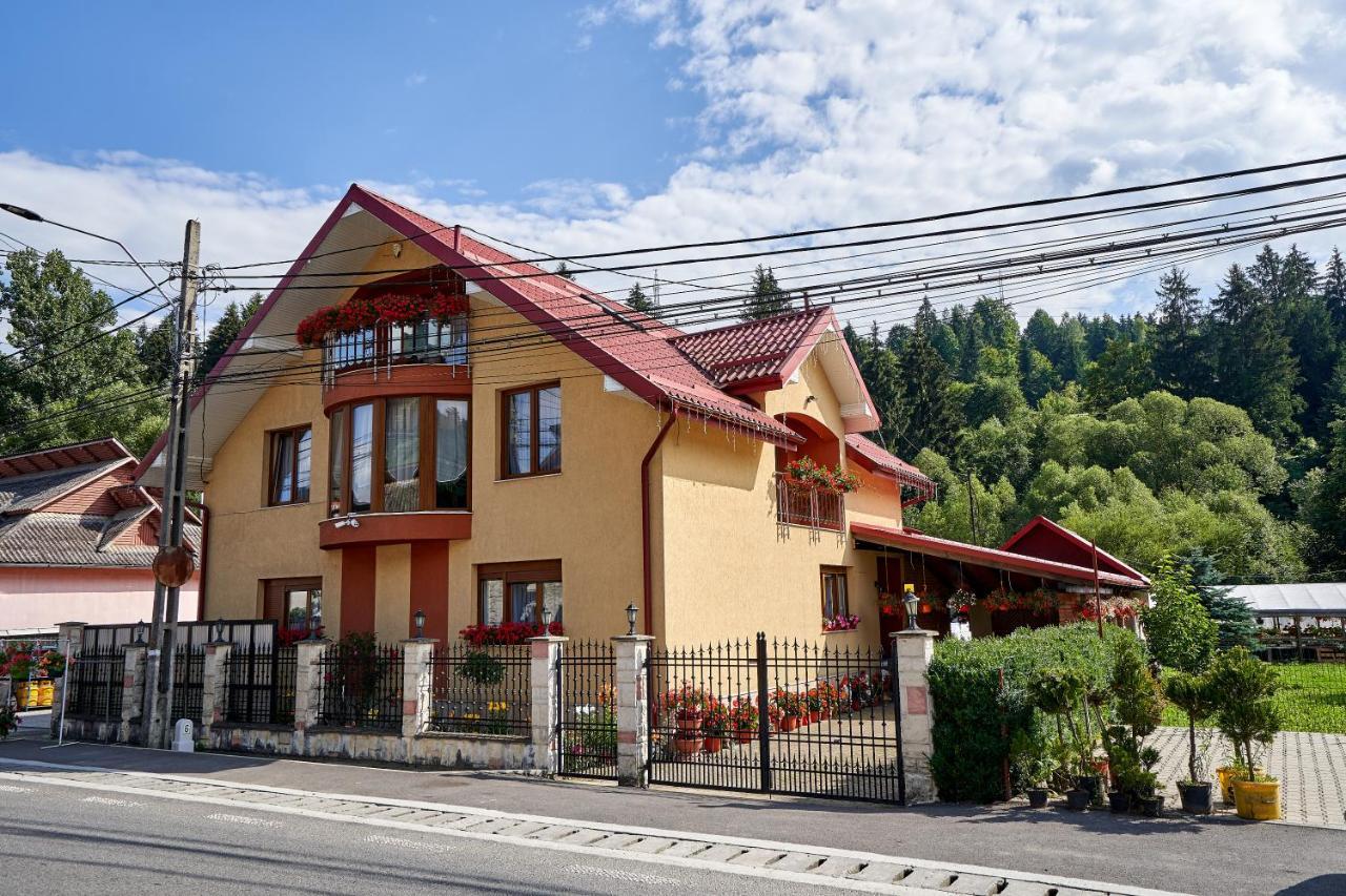 Casa Cu Flori Moisei Hotel Bagian luar foto