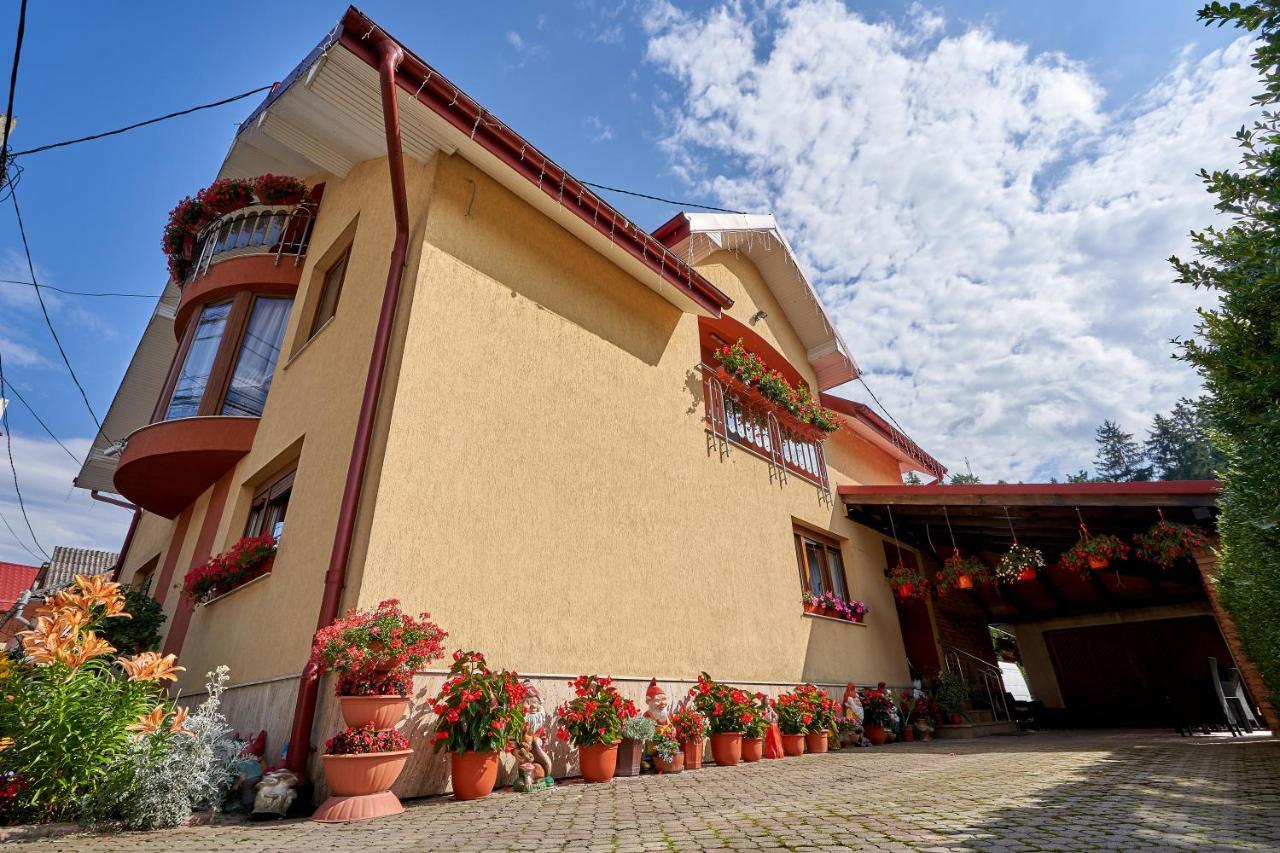 Casa Cu Flori Moisei Hotel Bagian luar foto