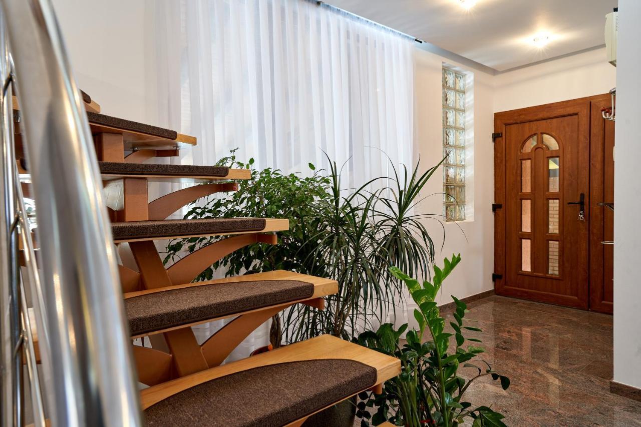 Casa Cu Flori Moisei Hotel Bagian luar foto