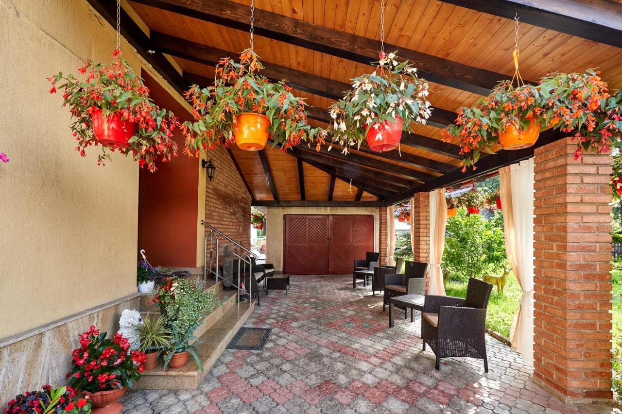 Casa Cu Flori Moisei Hotel Bagian luar foto