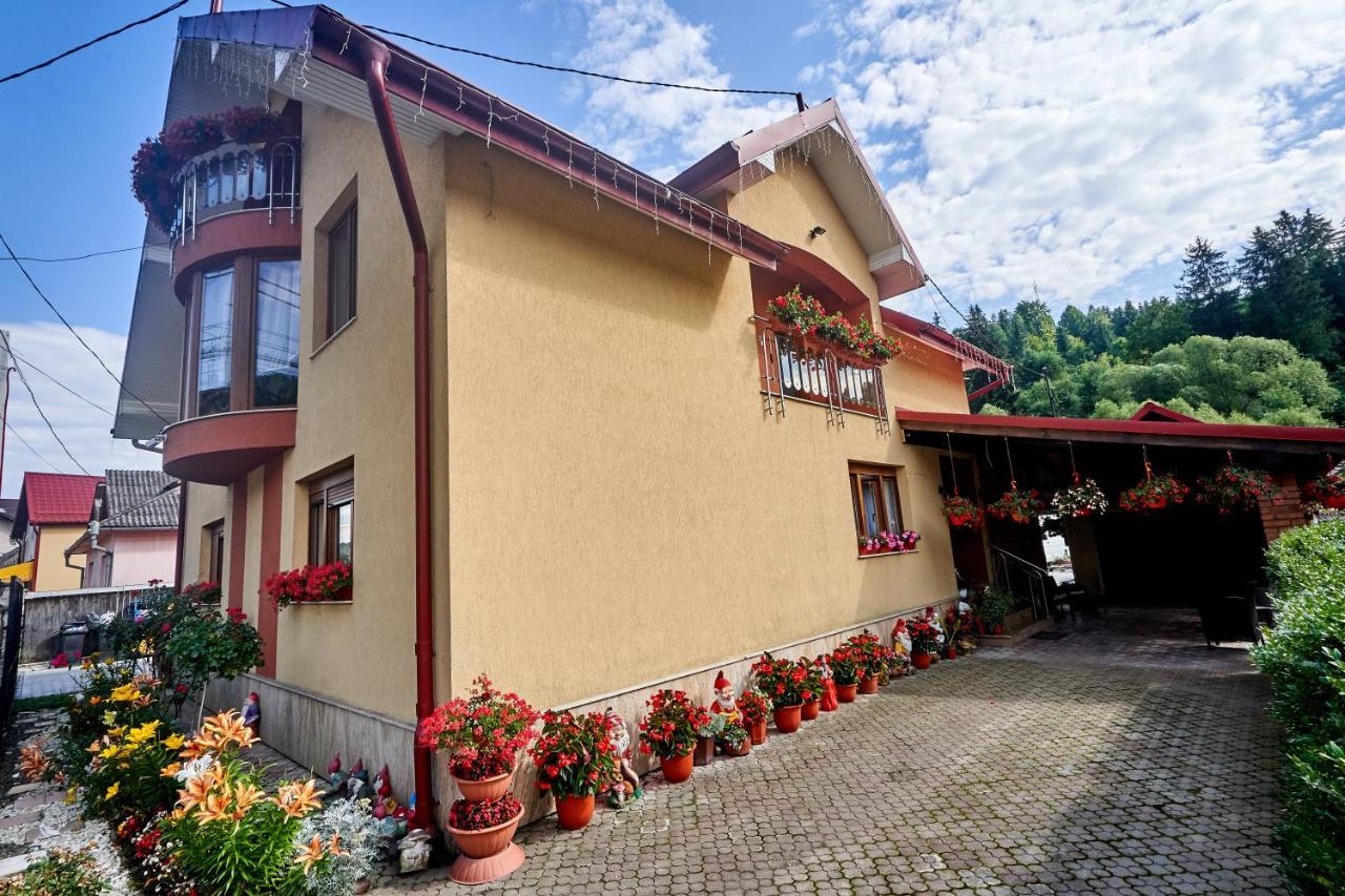 Casa Cu Flori Moisei Hotel Bagian luar foto