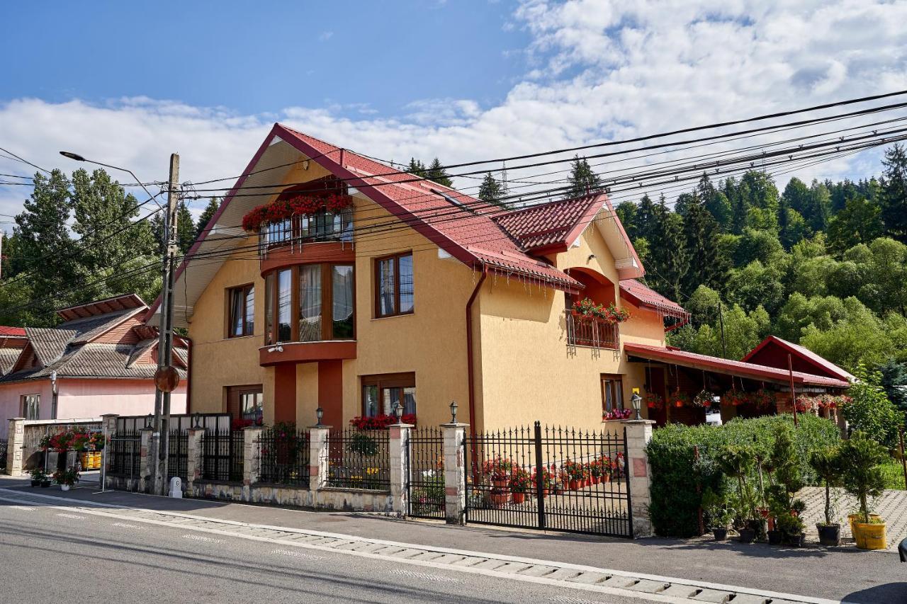 Casa Cu Flori Moisei Hotel Bagian luar foto