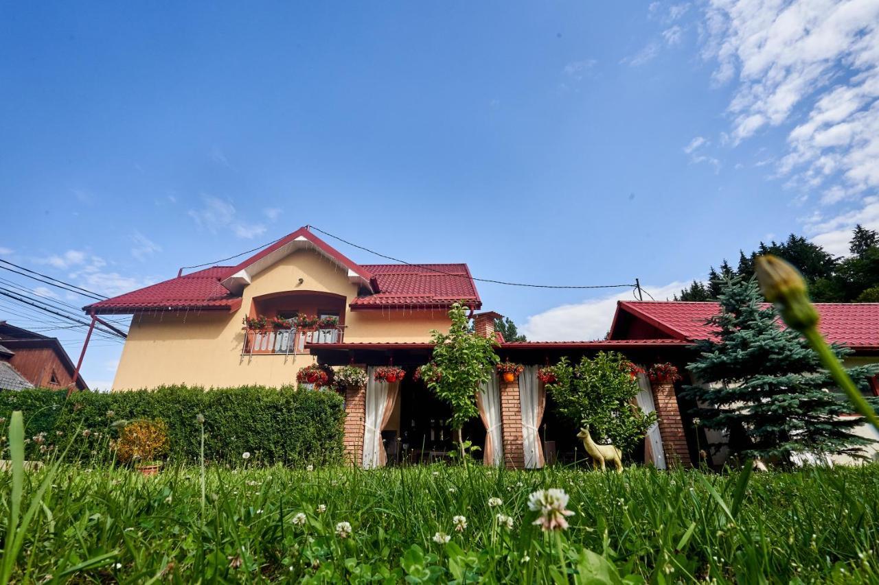 Casa Cu Flori Moisei Hotel Bagian luar foto